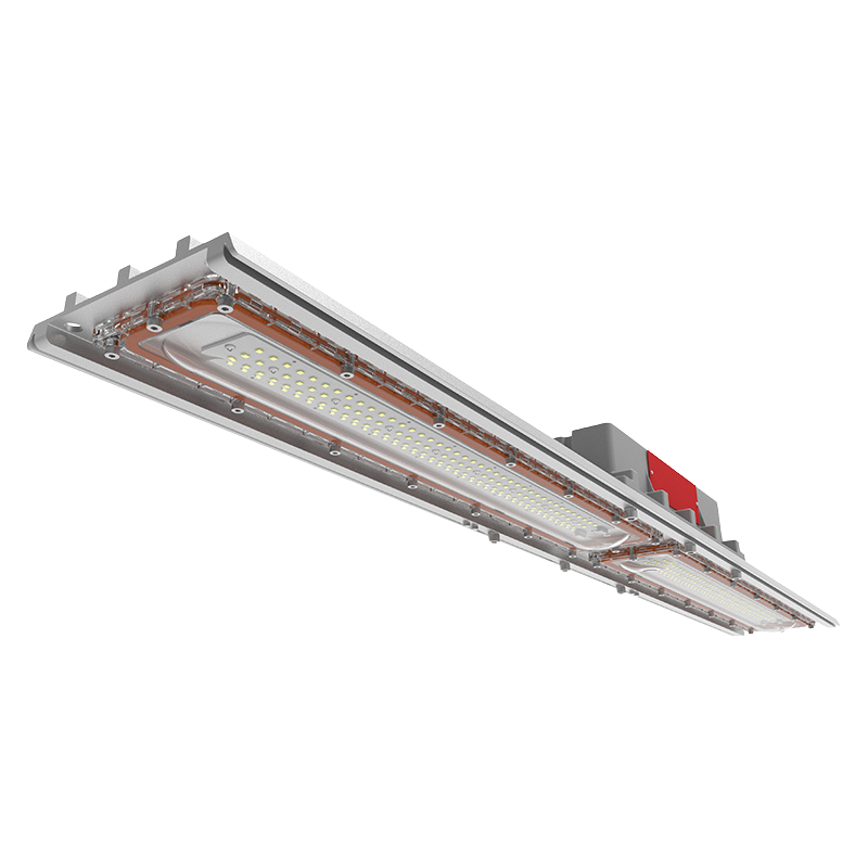 Vector Linear Light